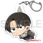 Attack On Titan: Levi Acrylic Pinched The Final Season Ver.
