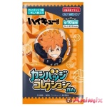 Anime Haikyu!!: Badge Collection