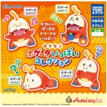 Pokemon Hogta Collection 1Box 8pcs