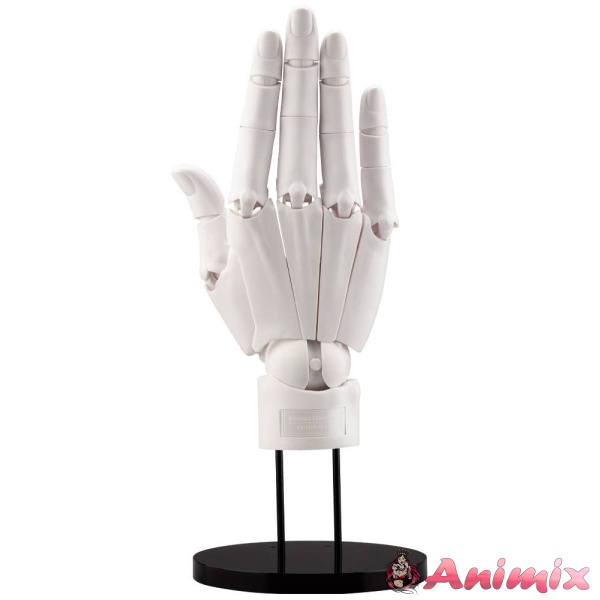 1/1 Artist Support Item Hand Model / R -WHITE- (Reissue)