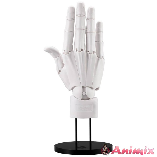 1/1 Artist Suppport Item Hand Model Men's/R -White-
