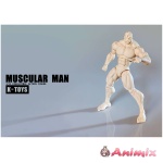 1/12 Collectible Action Figure Muscular Man KT01A White Skin