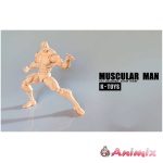 1/12 Collectible Action Figure Muscular Man KT01B Normal Skin
