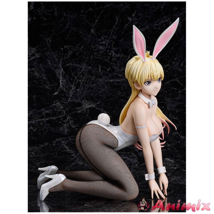 1/4 Bastard!! -Heavy Metal, Dark Fantasy-: Sean Ari: Bunny Ver. - Image 13