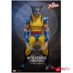 1/6 Hono Studio - Fully Poseable Figure: Marvel Comics - Wolverine (Unmasked)