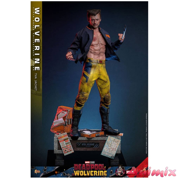 1/6 Movie Masterpiece - Fully Poseable Figure: Deadpool & Wolverine - Wolverine (TVA Jacket Version) 1/6 Movie Masterpiece - Fully Poseable Figure: Deadpool & Wolverine - Wolverine (TVA Jacket Version)