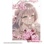 Alya Sometimes Hides Her Feelings In Russian: Acrylic Panel Cherry Blossom Viewing