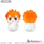 Haikyu!!: Pyokonui Shoyo Hinata