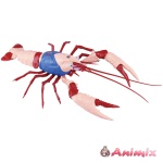 Kinnikuman Edition American Crayfish Kinnikuman Specifications