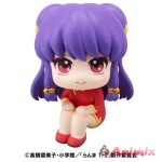 Look Up Ranma 1/2 Shampoo