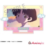 Ranma 1 / 2: Frame Acrylic Stand / Akane Tendo