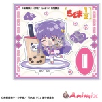 Ranma 1/2: Mini Acrylic Stand Shampoo / Side By Side Party