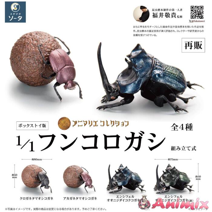 1/1 Animalier Collection Dung Beetle: 1Box (4pcs) (Reissue) 1/1 Animalier Collection Dung Beetle: 1Box (4pcs) (Reissue)