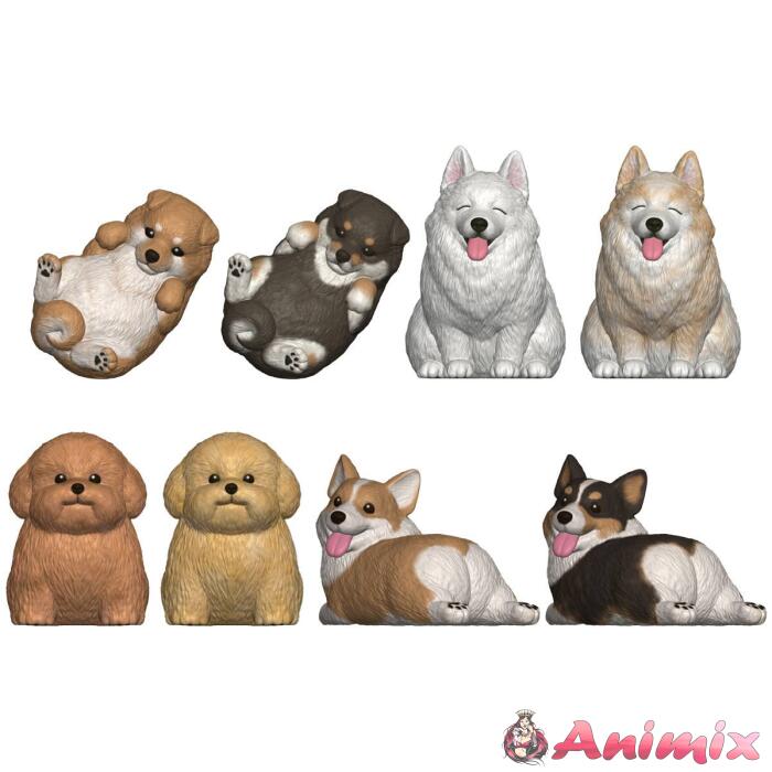 Mocchiri Kororin Dog: 1Box (12pcs) Mocchiri Kororin Dog: 1Box (12pcs)