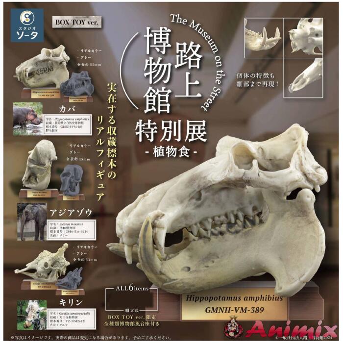 The Museum on the Street Special Exhibition Plant Food: 1Box (6pcs) The Museum on the Street Special Exhibition Plant Food: 1Box (6pcs)