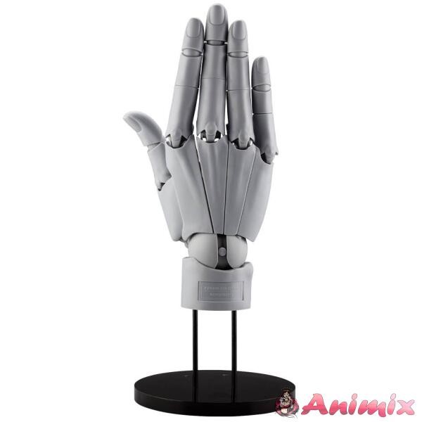 1/1 Artist Support Item Hand Model / R -GRAY- (Reissue)