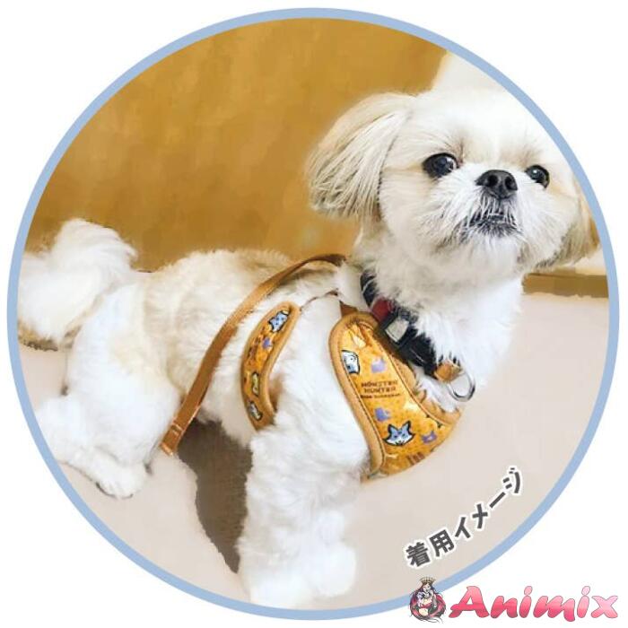 Monster Hunter Rise: Sunbreak Harness 2. Monster Pattern M - Image 2