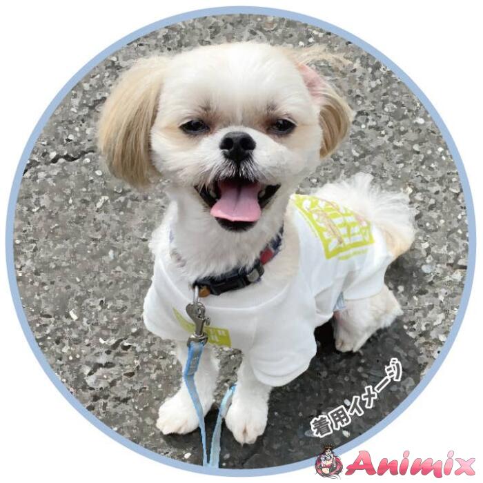 Monster Hunter Rise: Sunbreak Petwear 3. Logo M - Image 2