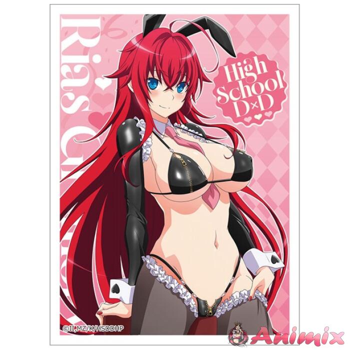 CARD-00032774 High School DxD HERO Original Illustration Sleeve (Rias Gremory/Reverse Bunny (Black)) - Image 1